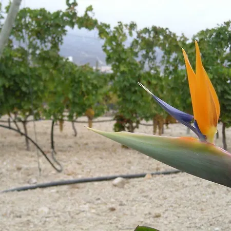 Séjour à la campagne Casa La Vinita